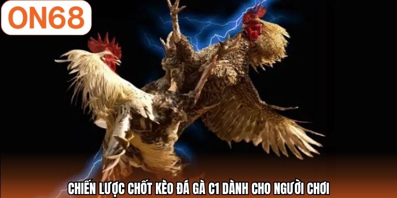 Chiến lược chốt kèo đá gà C1 dành cho người chơi