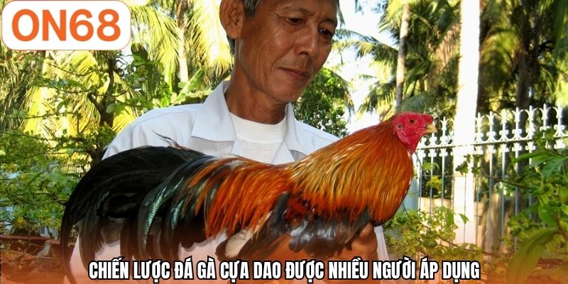 Chiến lược đá gà cựa dao được nhiều người áp dụng