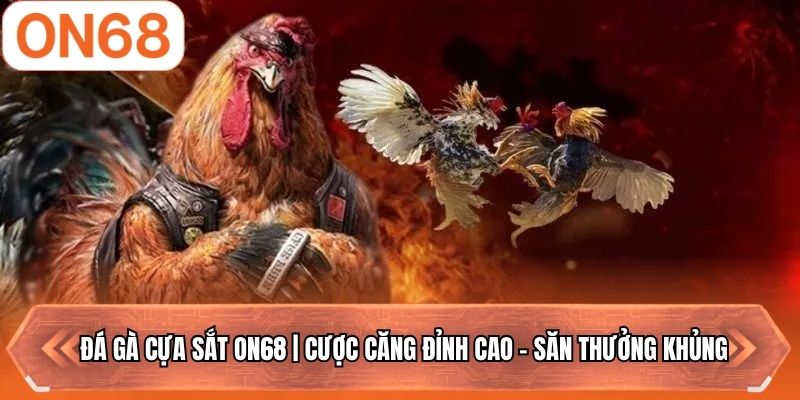 Đá Gà Cựa Sắt ON68 | Cược Căng Đỉnh Cao - Săn Thưởng Khủng