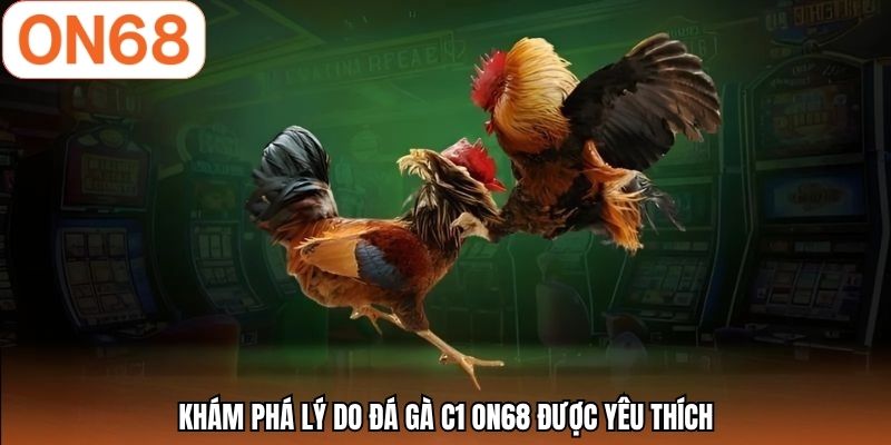 Khám phá lý do đá gà C1 ON68 được yêu thích