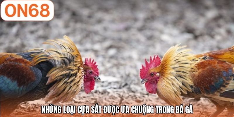 Những loại cựa sắt được ưa chuộng trong đá gà
