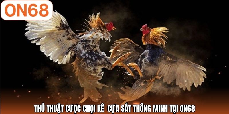 Thủ thuật cược chọi kê  cựa sắt thông minh tại ON68