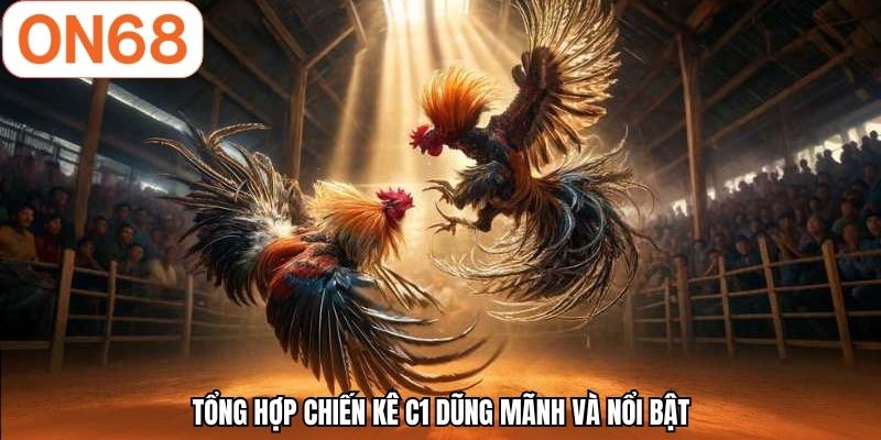 Tổng hợp chiến kê C1 dũng mãnh và nổi bật