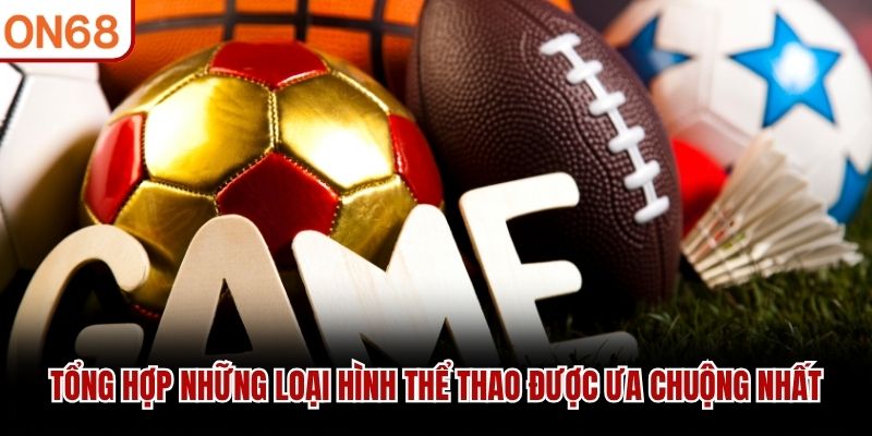 Tổng hợp những loại hình thể thao được ưa chuộng nhất